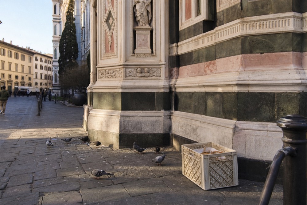 Morning light on the marble facade of the Florence Duomo seen from the piazza