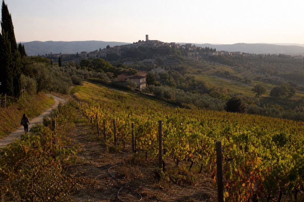 Tuscan countryside with rolling hills, vineyards and a distant hilltop town