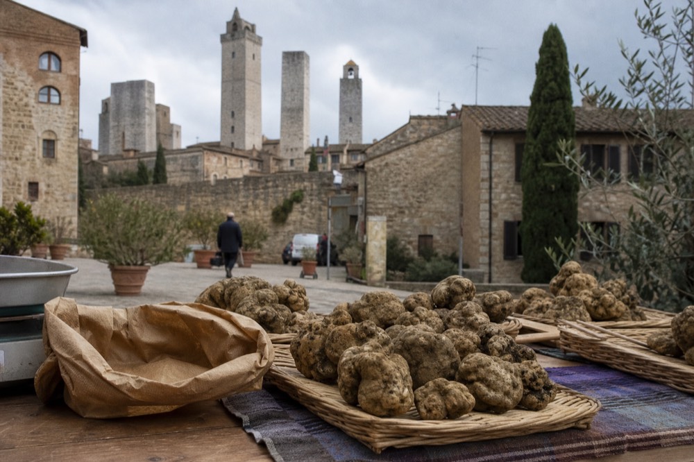 A market stall piled with fresh truffles in wicker baskets