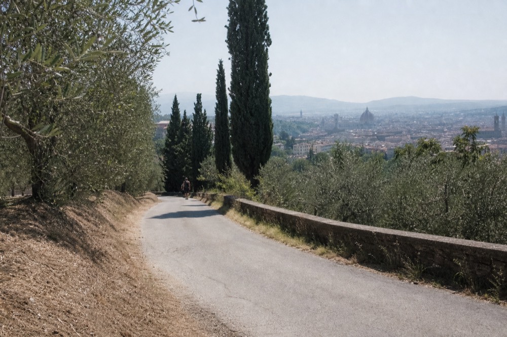 Countryside road winding between cypress trees and olive terraces in Tuscany