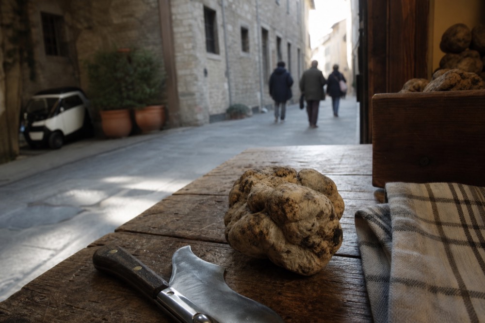 A white truffle on a wooden table beside a small knife