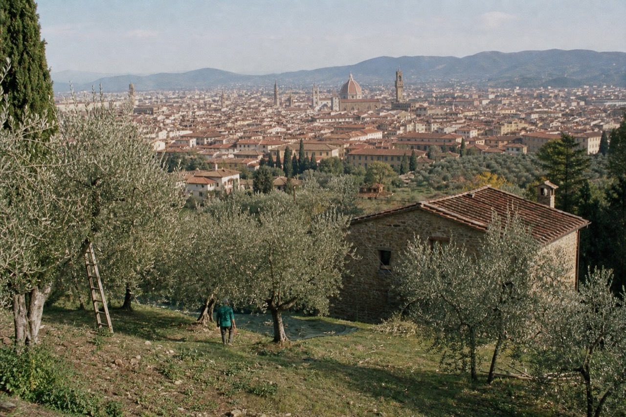 Rolling Tuscan hills with olive groves and a stone farmhouse under a clear sky